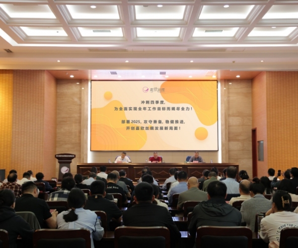 1xBET丝绸2024年三季度经济形势剖析会顺遂召开